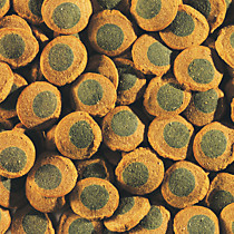 Tetra Pleco Spirulina Wafers  корм для сомиков-присосок(Крупный) 24гр
