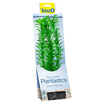 TETRA Растение аквариумное Green Cabomba/Кабомба (L) 30 см. с утяжелителем 