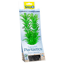 TETRA Растение аквариумное Green Cabomba/Кабомба (M) 23 см. с утяжелителем 