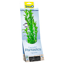 TETRA Растение аквариумное Hygrophila/Гигрофила (L) 30см. с утяжелителем 